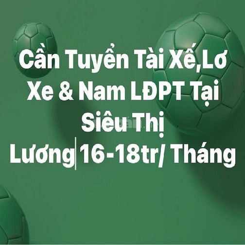 TPHCM Cần Gấp =>> 10 lái xe =>>20 nam lơ xe và 30 nam phụ kho siêu thị