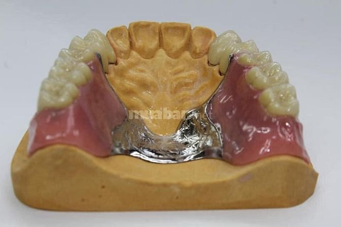 Cần tuyển nhân viên Tiếp tân phụ tá 