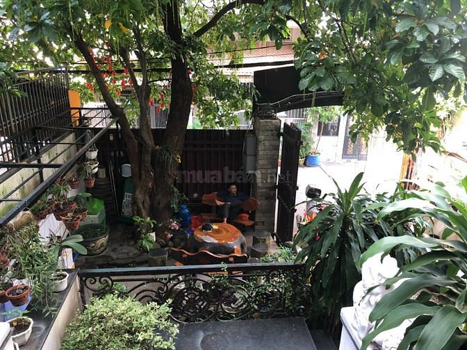 Cần bán biệt thự phố. Quang Trung , phường 8 Gò Vấp