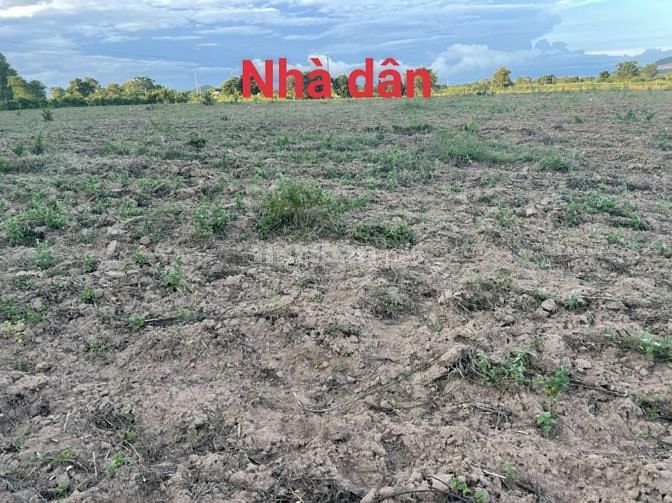 Bán 5458m2 đất xã hồng liêm, hàm thuận bắc 1,337 tỷ đường ô tô tận nơi