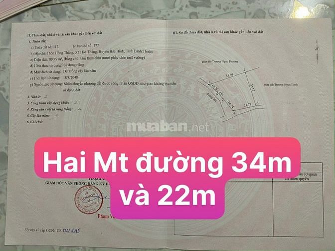 Cần bán gấp 890m2 lô hai mặt tiền đường, cách biển 850m, giá 1,790 tỷ