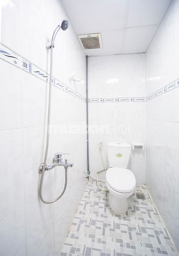 VP 15m2 mặt tiền Xuân Hồng trong Building 5 tầng (ngay ngã tư Bảy Hiền