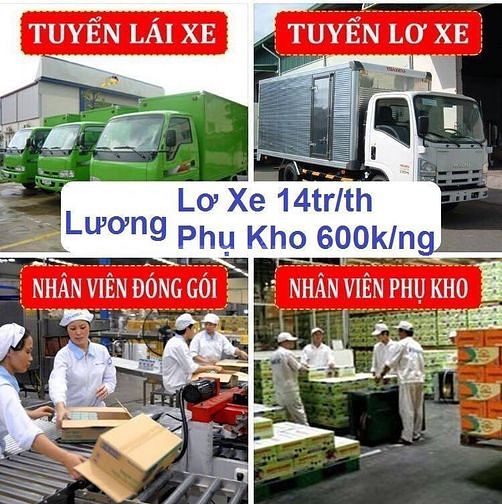 LÁI XE , PHỤ XE , LĐPT LÀM TẠI THÁI BÌNH
