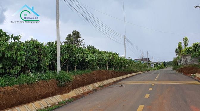 Đất hai mặt tiền đường Phùng Hưng, Lộc Tiến, Bảo Lộc