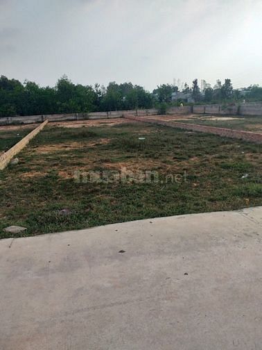 Giảm giá sốc 600tr HÀNG NGỘP THỞ 🤭 đất nền full thổ phú Đông