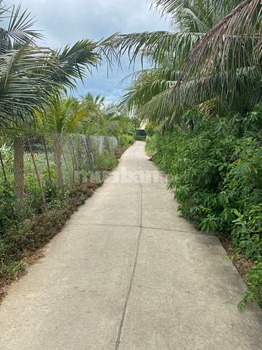 Bán đất xã Ninh Bình - Ninh Hoà. Dân cắt bán ngang 20m dài 30m