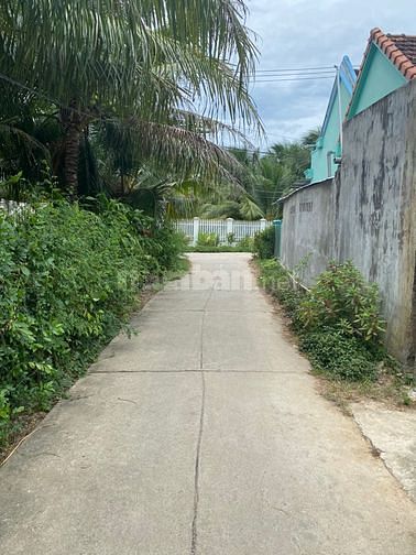 Bán đất xã Ninh Bình - Ninh Hoà. Dân cắt bán ngang 20m dài 30m