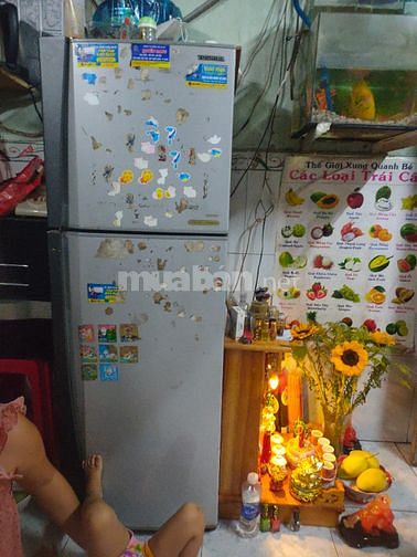 Cần bán 1 máy giặt và 1 tủ lạnh 