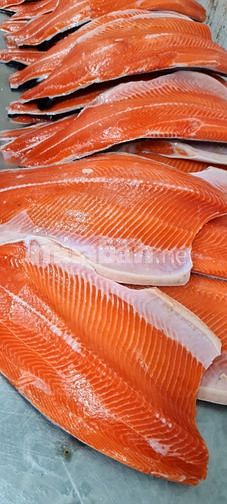 Cung cấp sỉ cá hồi fille miếng nhập khẩu Chile