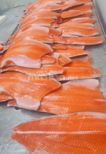 Cung cấp sỉ cá hồi fille miếng nhập khẩu Chile