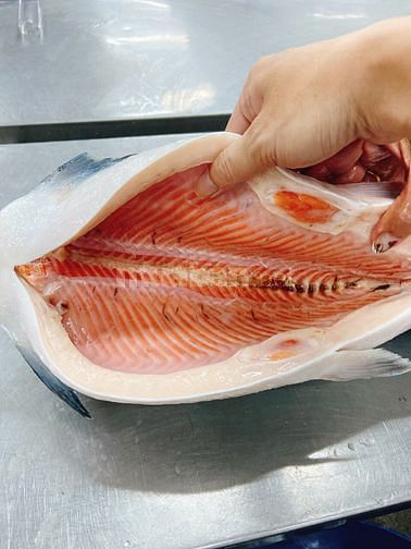 Cung cấp sỉ cá hồi fille miếng nhập khẩu Chile