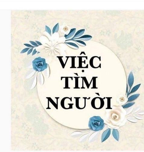 Việc làm thời vụ hoặc ổn định lâu dài, không cần kinh nghiệm 