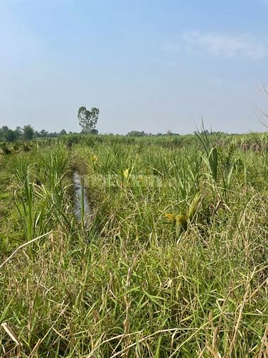 bán đất trồng cây lâu năm, Kênh 10, gần Tu Viện Kim cang 