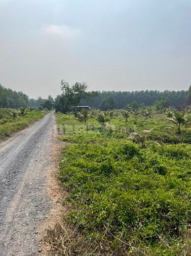 bán đất trồng cây lâu năm, Kênh 10, gần Tu Viện Kim cang 