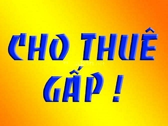 Cho thuê mặt bằng đường Nguyễn Quý Cảnh, Quận 2, 5x10m, đường lớn