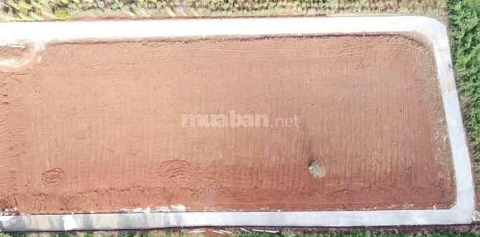 ĐẤT Ở ĐÔ THỊ NGAY TRUNG TÂM THỊ TRẤN GIÁ CHỈ 3XXTR , ĐƯỜNG 10M SHR