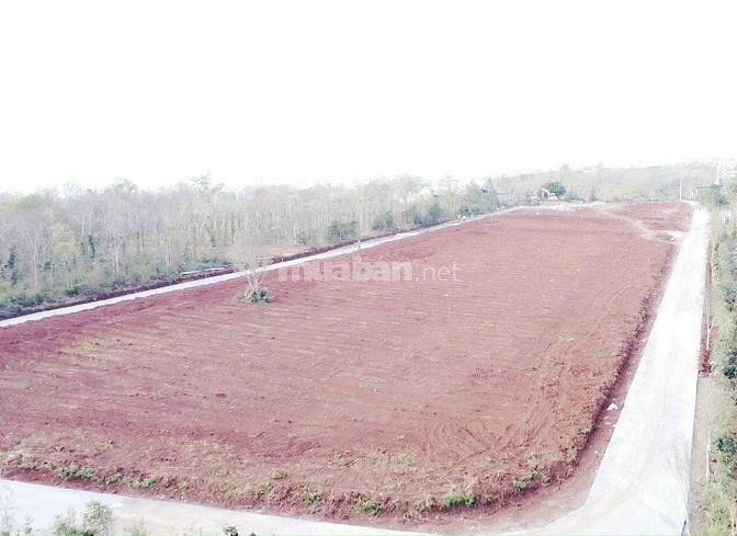 ĐẤT Ở ĐÔ THỊ NGAY TRUNG TÂM THỊ TRẤN GIÁ CHỈ 3XXTR , ĐƯỜNG 10M SHR