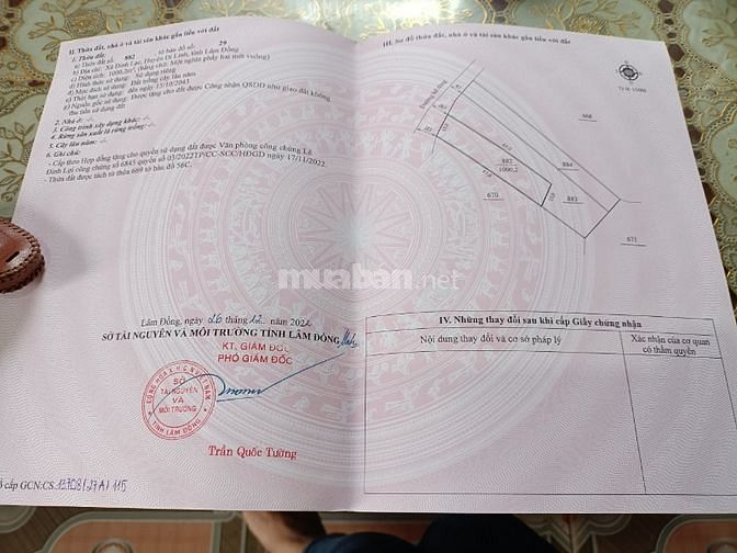 Đất view hồ Thanh Bạch 15m mặt đường bê tông cách ql20 800m