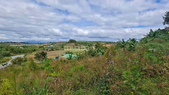 Đất view hồ Thanh Bạch 15m mặt đường bê tông cách ql20 800m