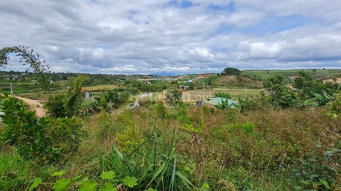 Đất view hồ Thanh Bạch 15m mặt đường bê tông cách ql20 800m
