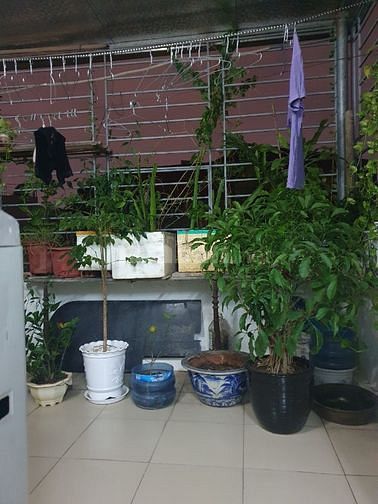 Chính chủ bán nhà ngõ 444, ngách 34/5 phố Đội Cấn, Ba Đình , Hà Nội  