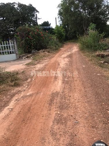 Bán đất sào, 9x110m, 200m2 thổ cư, giá 2 tỷ, Tân Phước, La Gi