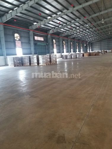 Nhà xưởng cho thuê 3500m2 mặt tiền đường Đông Hưng Thuận 10, Quận 12.