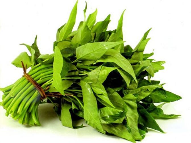 CUNG CẤP RAU CỦ SƠ CHẾ THEO YÊU CẦU