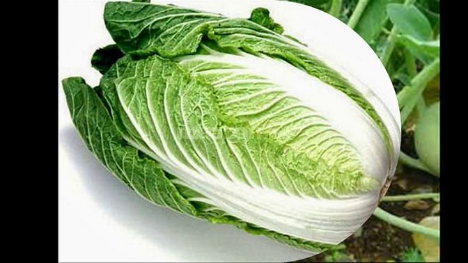 CUNG CẤP RAU CỦ SƠ CHẾ THEO YÊU CẦU