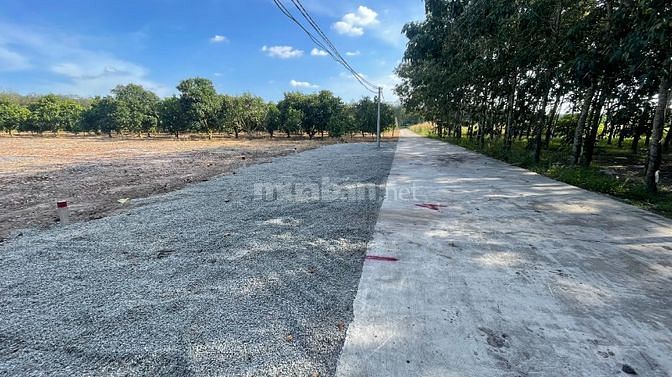 CHÍNH CHỦ CẦN BÁN NHANH LÔ ĐẤT THỔ Ở BÌNH PHƯỚC