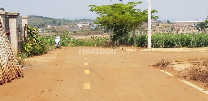 Bán gấp lô đất Quốc Lộ 20, TT. Liên Nghĩa, Đức Trọng, Lâm Đồng;