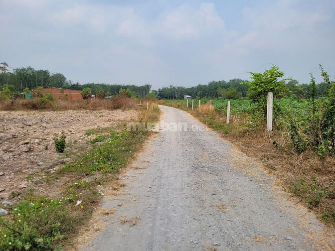 310m2 thổ. Cách nhựa 40m. Gần KCN. 740tr. Chủ ngộp bank.