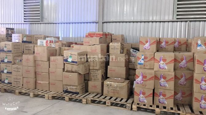 CẦN GẤP 5 LĐPT ĐÓNG HẰNG TẠI KHO,TẠP VỤ , LÀM THỜI VỤ 
