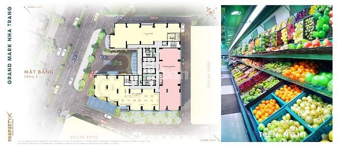 ngạc nhiên căn hộ Grand mark an cư nghỉ dưỡng có sổ tại Nha Trang