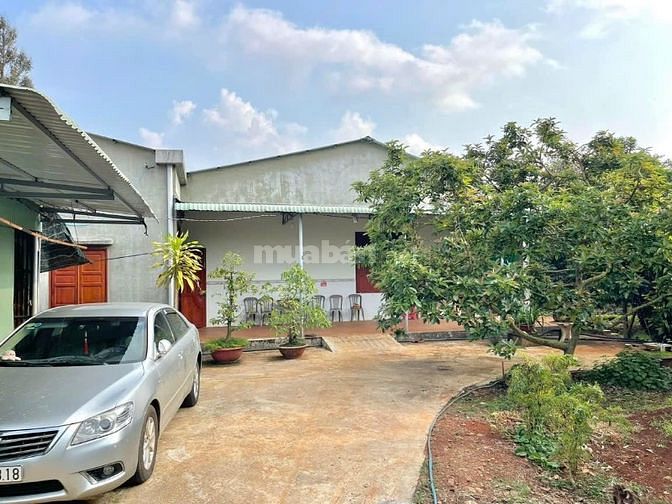 Đất thổ cư chợ Hưng Lộc chỉ 699 triệu, trả góp 6 tháng