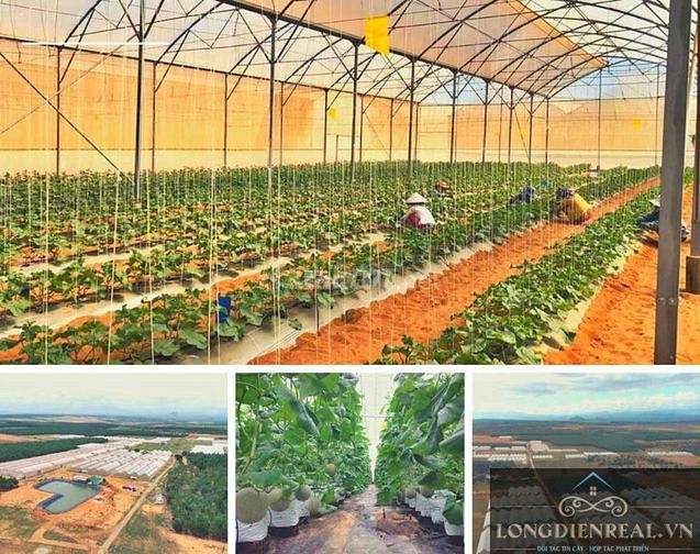 Cho thuê đất đường quốc lộ 1A, DT 4525m2