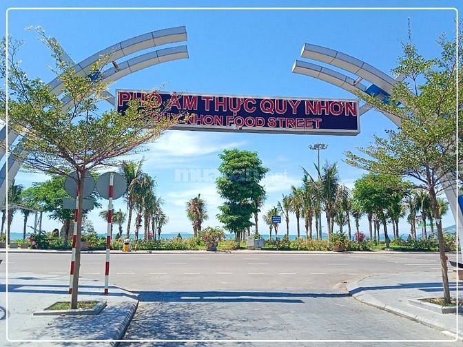 Bán Đất Mặt Tiền Đường Trần Độc Cách Biển Quy Nhơn Tỉnh Bình Định
