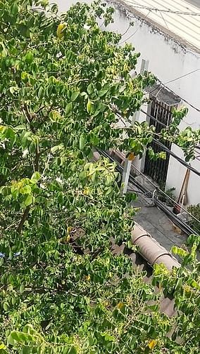 Ô TÔ VÀO nhà Nguyễn Hới-Bình Tân-5M*18M-Giá nhỉnh 7 Tỷ 