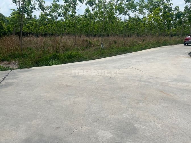 Cần Bán Gấp 500m2, 560tr, Tại p. Minh hưng tx Chơn Thành