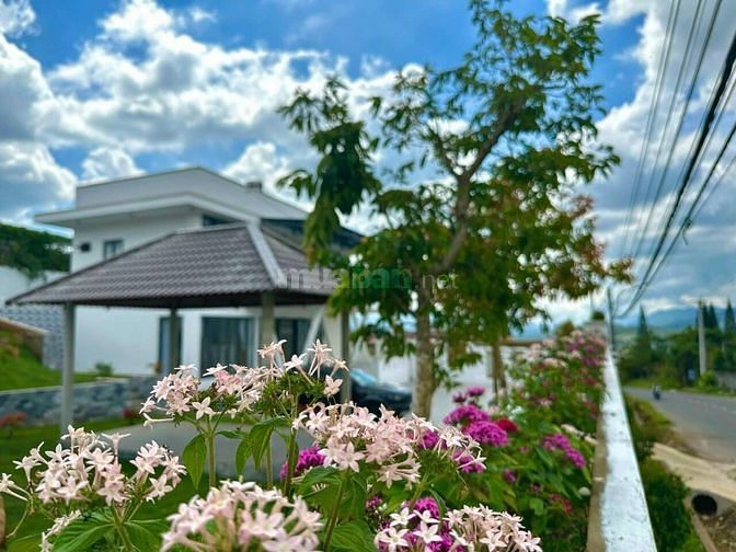 BÁN LÔ ĐẤT ĐẸP GẦN ĐỒI THÔNG PHƯƠNG BỐI- 16X33- SHCC SẴN THỔ CƯ-GPXD
