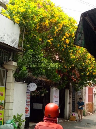 Sang quán Cafe ngang 7m hẻm đông đúc