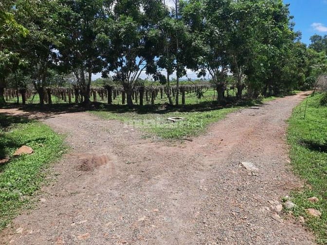 Bán 1,2 hecta đất CLN hồng liêm, có ao, vườn điều cách cao tốc 2km.