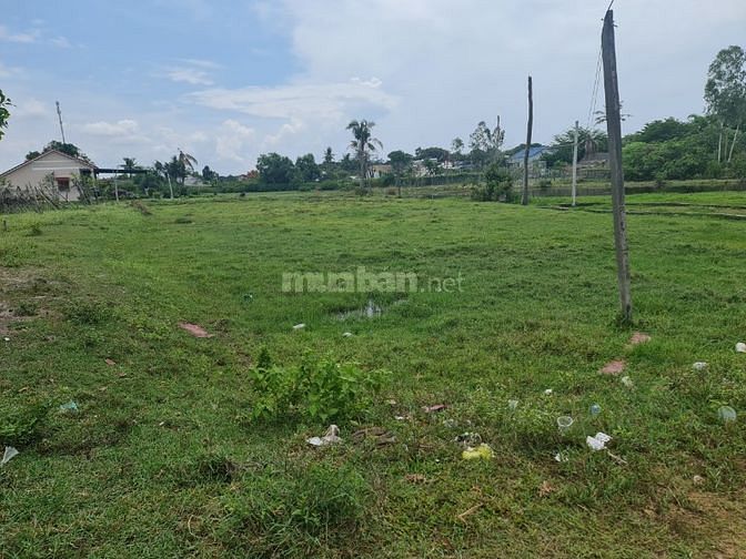 🔵 20x16(323m2)xã Tân Bình Lagi Quy Hoạch ONT Sát Biển Giá Đầu Tư 