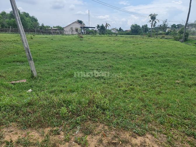 🔵 20x16(323m2)xã Tân Bình Lagi Quy Hoạch ONT Sát Biển Giá Đầu Tư 