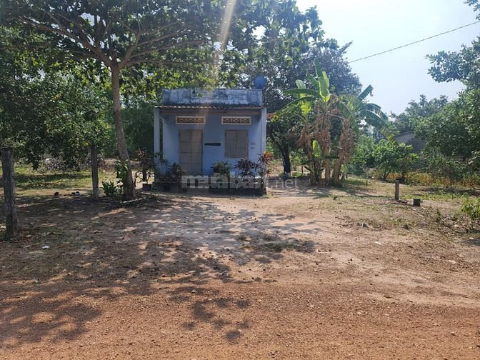 Bán Gấp 1000m2 Tân Phước, Lagi Giá Ngộp Siêu Hót Gần Trung Tâm