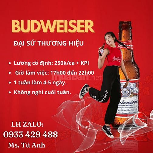 Việc Làm Thêm PG Kênh Quán Budweiser khu vực Hồ Chí Minh