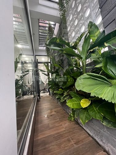 Bán tòa căn hộ MT Tân thới nhất 8.q12 dt 5,5x35m trệt lững 5 lầu 
