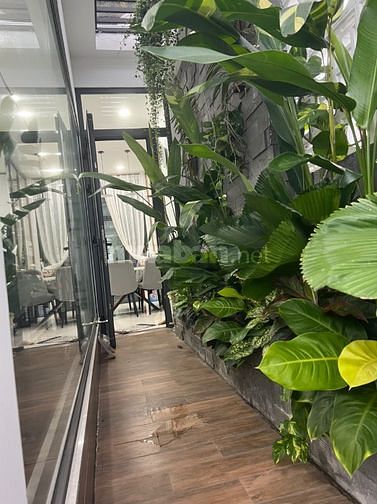 Bán tòa căn hộ MT Tân thới nhất 8.q12 dt 5,5x35m trệt lững 5 lầu 