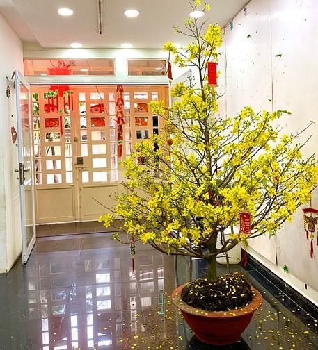 Hẻm Xe Hơi Thông LÊ HỒNG PHONG, Q.10, 4.1mx13m, 6Tầng, 6pn, 50m Ra Mặt