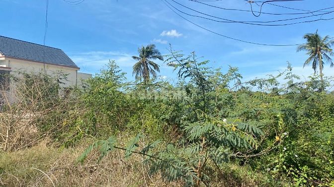 🔵Cần Thanh Lý Gấp 10x50 100 Thổ Cư Nguyễn Chí Thanh Lagi Giá Ngộp